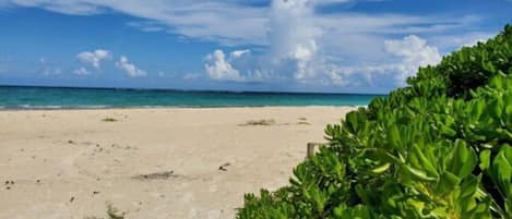 House | Beach/ocean view