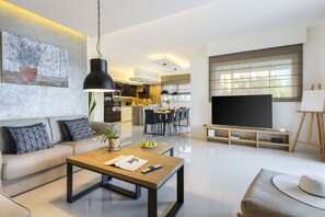 TV - Villa Sunny Day with Pool (Labin)