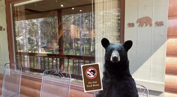 Exterior detail - 30 Min to YNP|Rustic Charm|Modern Amenities|AC|Arcade|Bear Paw Lodge|Island Park (Island Park)