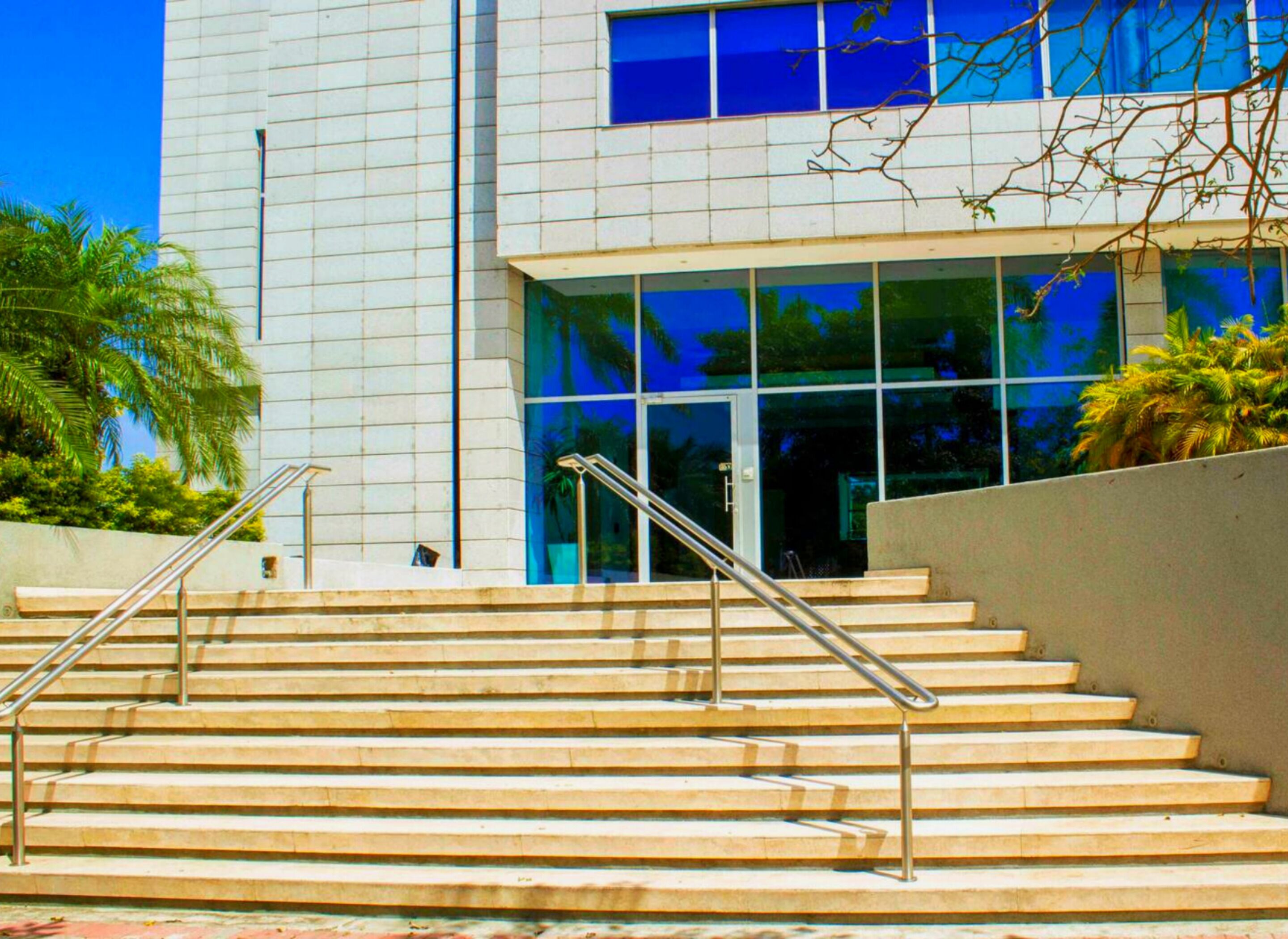 A modern building with a staircase leading to the entrance, surrounded by palm trees.
