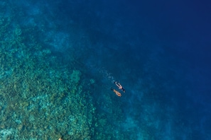 An aerial view of a clear blue sea with two divers swimming. - Emerald Faarufushi Resort & Spa (Faarufushi)