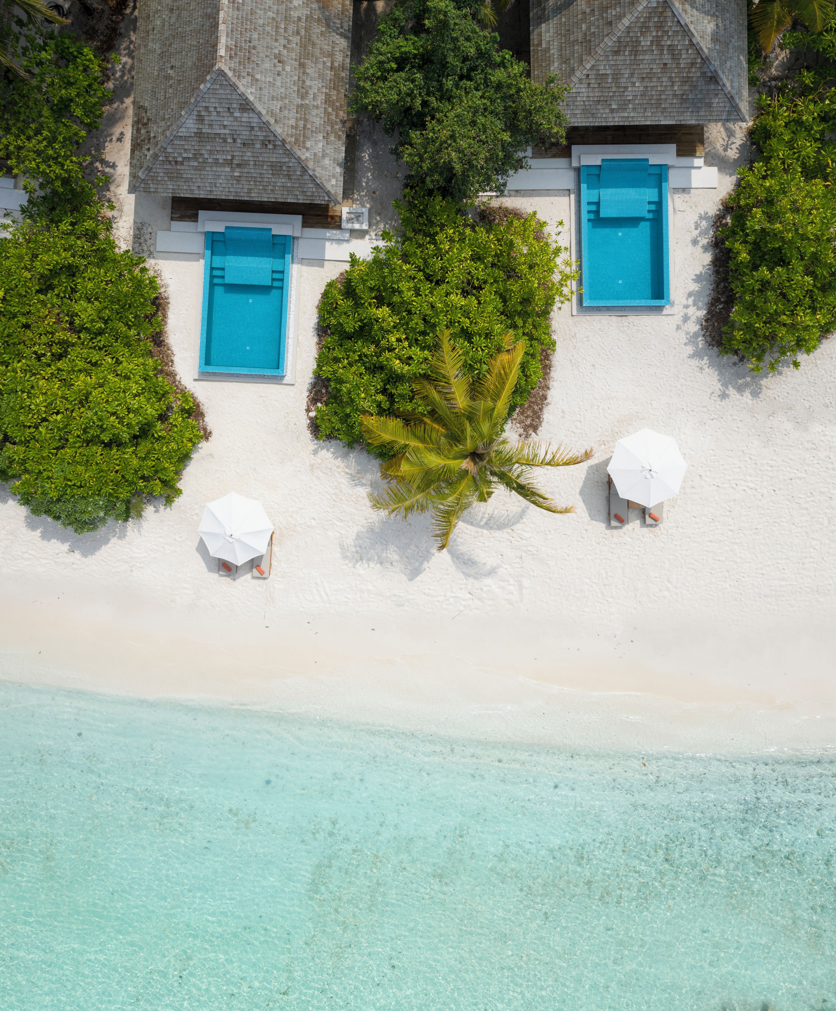 An aerial view of a resort with a pool, two beach umbrellas, and a palm tree.