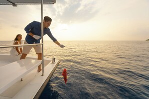 A boat with a metal railing and a person in a blue shirt standing on the deck. - Emerald Faarufushi Resort & Spa (Faarufushi)