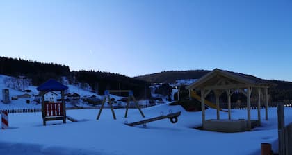 Cozy holiday apartment in Vorderfirmiansreut, Mitterdorf ski area