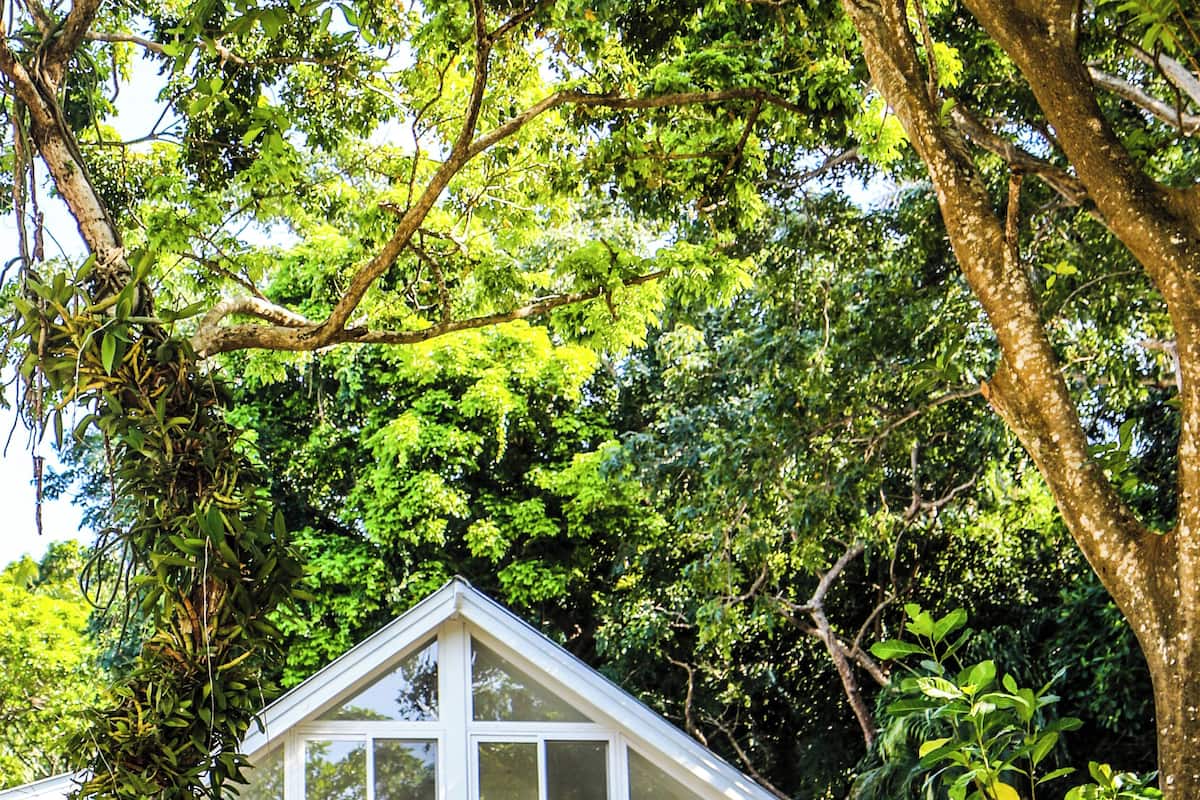 Una casa azul claro con balcón blanco, rodeada de abundante follaje y árboles verdes.