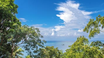 Panoramic Villa, 4 Bedrooms | View from room