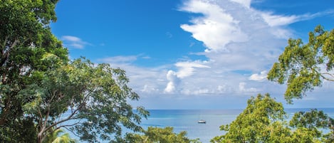 Panoramic Villa, 4 Bedrooms | View from room