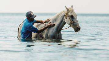 A person in blue attire leading a horse through water.