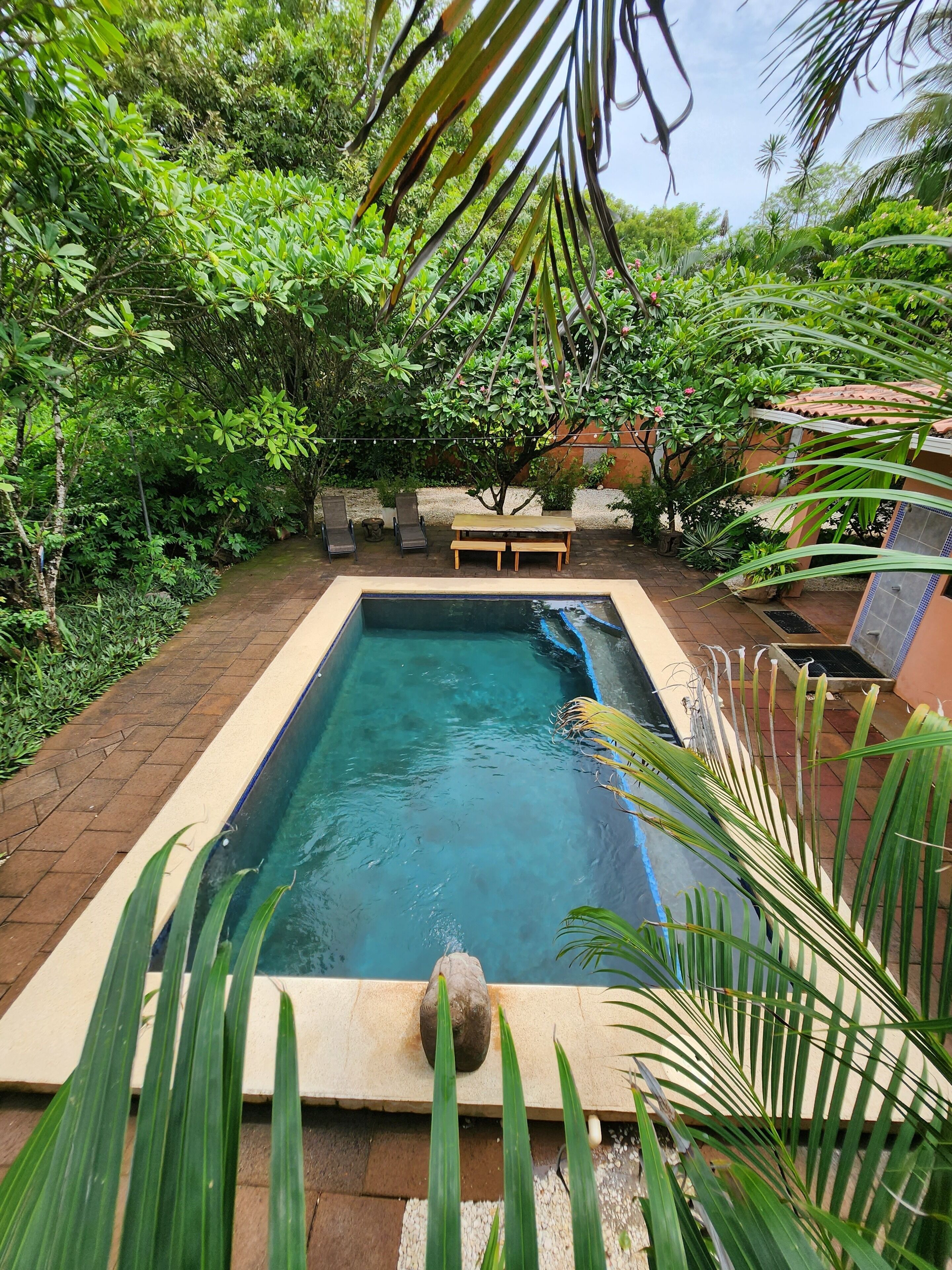 حمّام سباحة خارجي