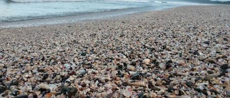 Ranta lähistöllä, aurinkotuoleja, rantapyyhkeitä