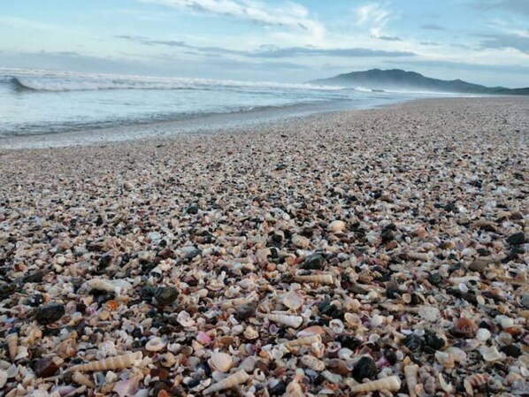 Plage à proximité, chaises longues, serviettes de plage