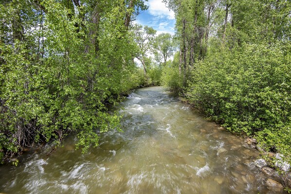 A river flowing through a forested area with dense greenery on both sides.