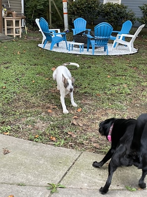 Outdoor dining - Pet-friendly City Cottage near Ponce City Market and Piedmont Park (Atlanta)
