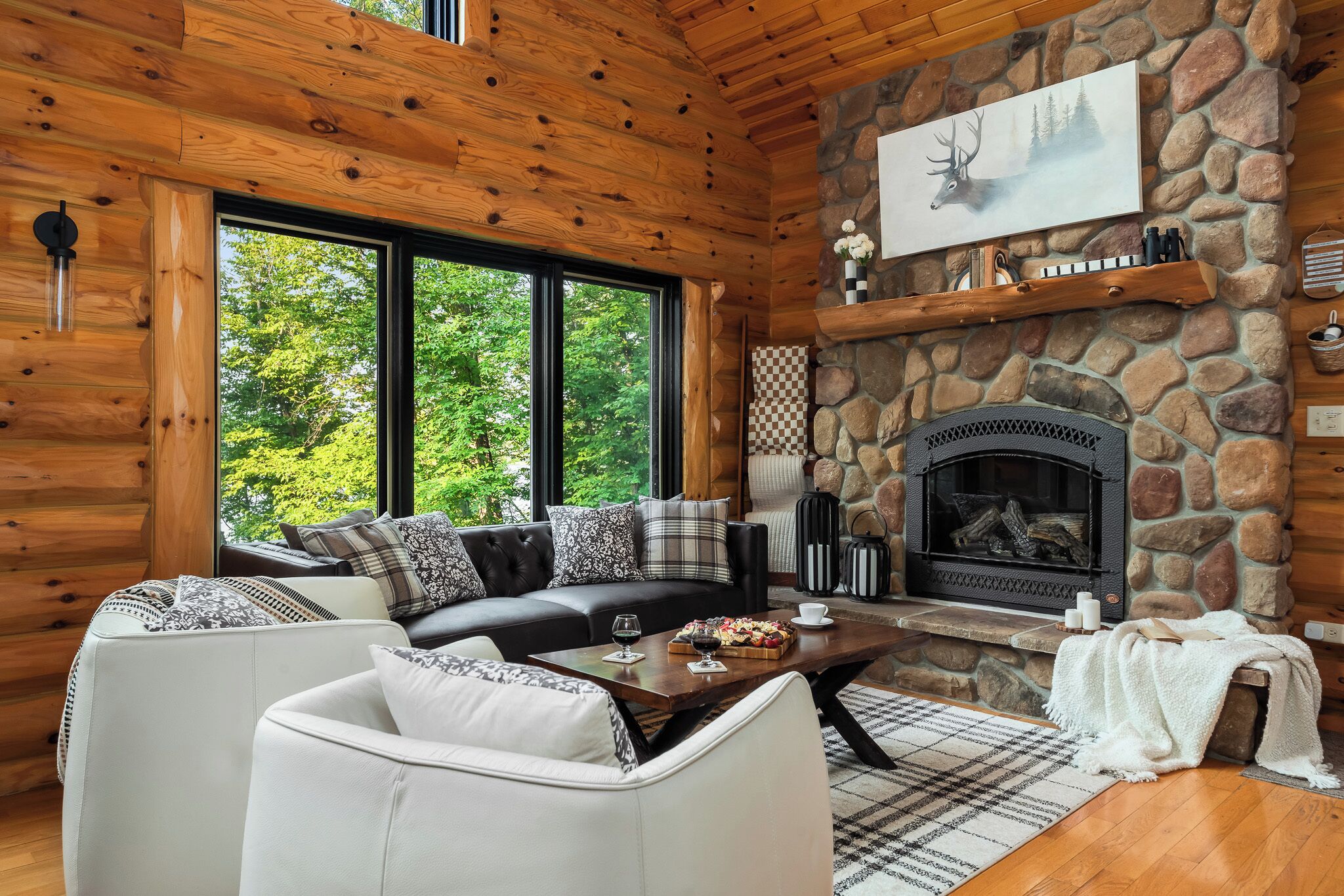 Smart TV, fireplace, DVD player, books