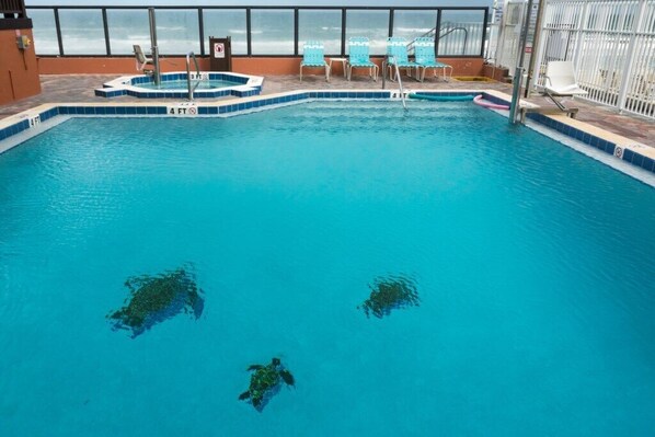 Une piscine à l’eau claire, deux tortues de mer et une vue sur le ciel par de grandes fenêtres.