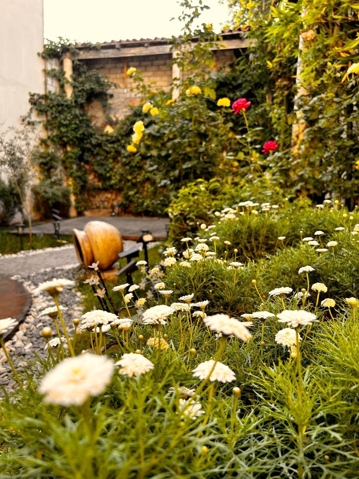 comfort room | hypo-allergenic bedding, down duvets, select comfort beds