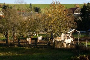 Speisen im Freien