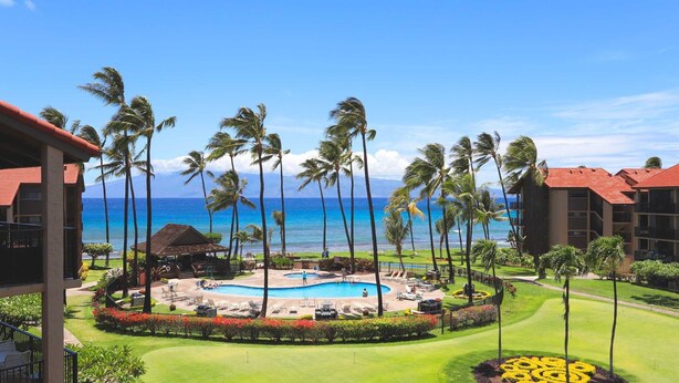 Un resort con piscina, palmeras y vista al océano.