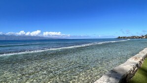 Una vista despejada de la costa, con un muro de piedra y una zona cubierta de hierba.