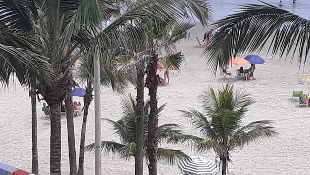 Une plage bordée de palmiers, avec des parasols et des gens qui se détendent.