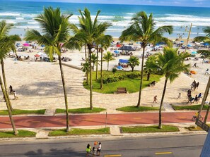 A beach with palm trees, a sandy area, and a road with a pedestrian crossing.