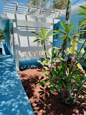 Terrein van de accommodatie