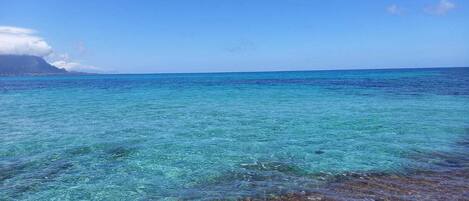 Playa en los alrededores