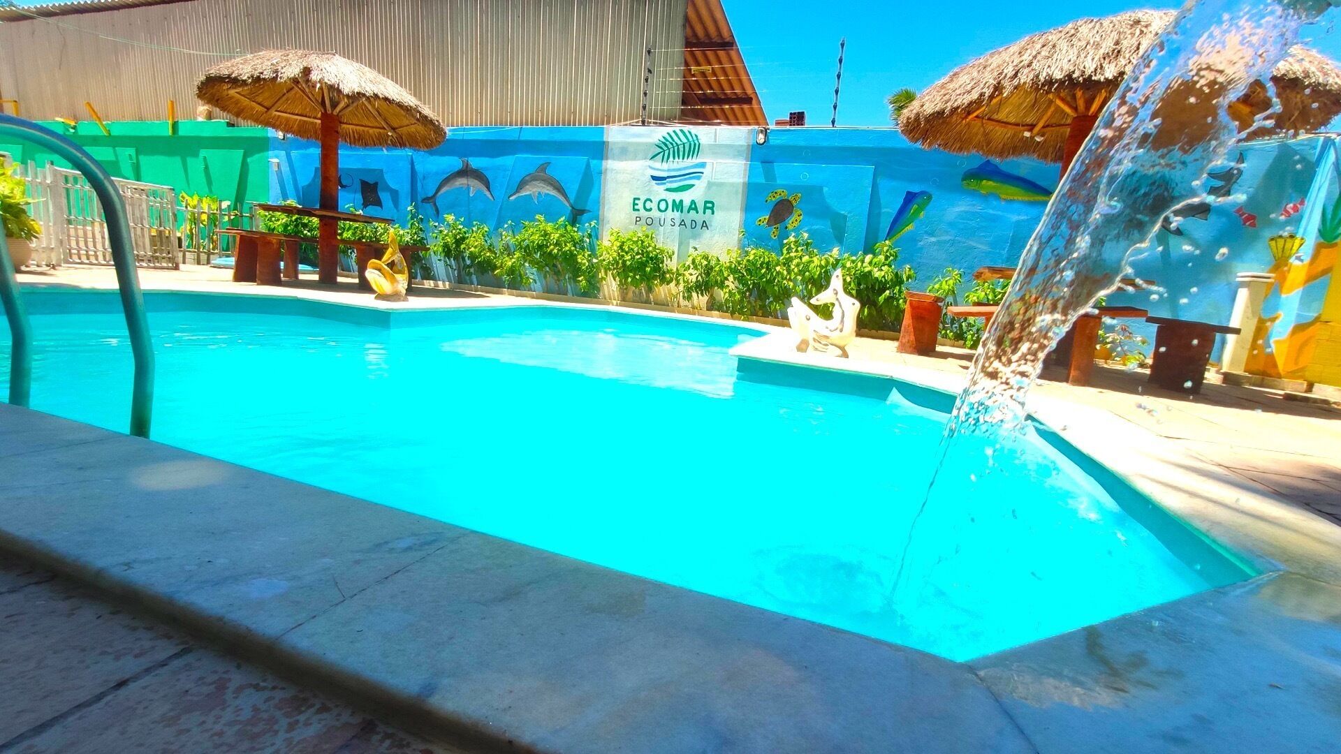 A swimming pool with a water feature, surrounded by tropical plants and a blue mural with marine life.