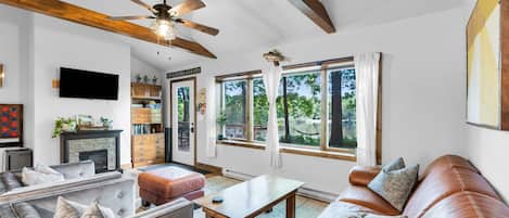 Smart TV, chimenea, libros y biblioteca musical