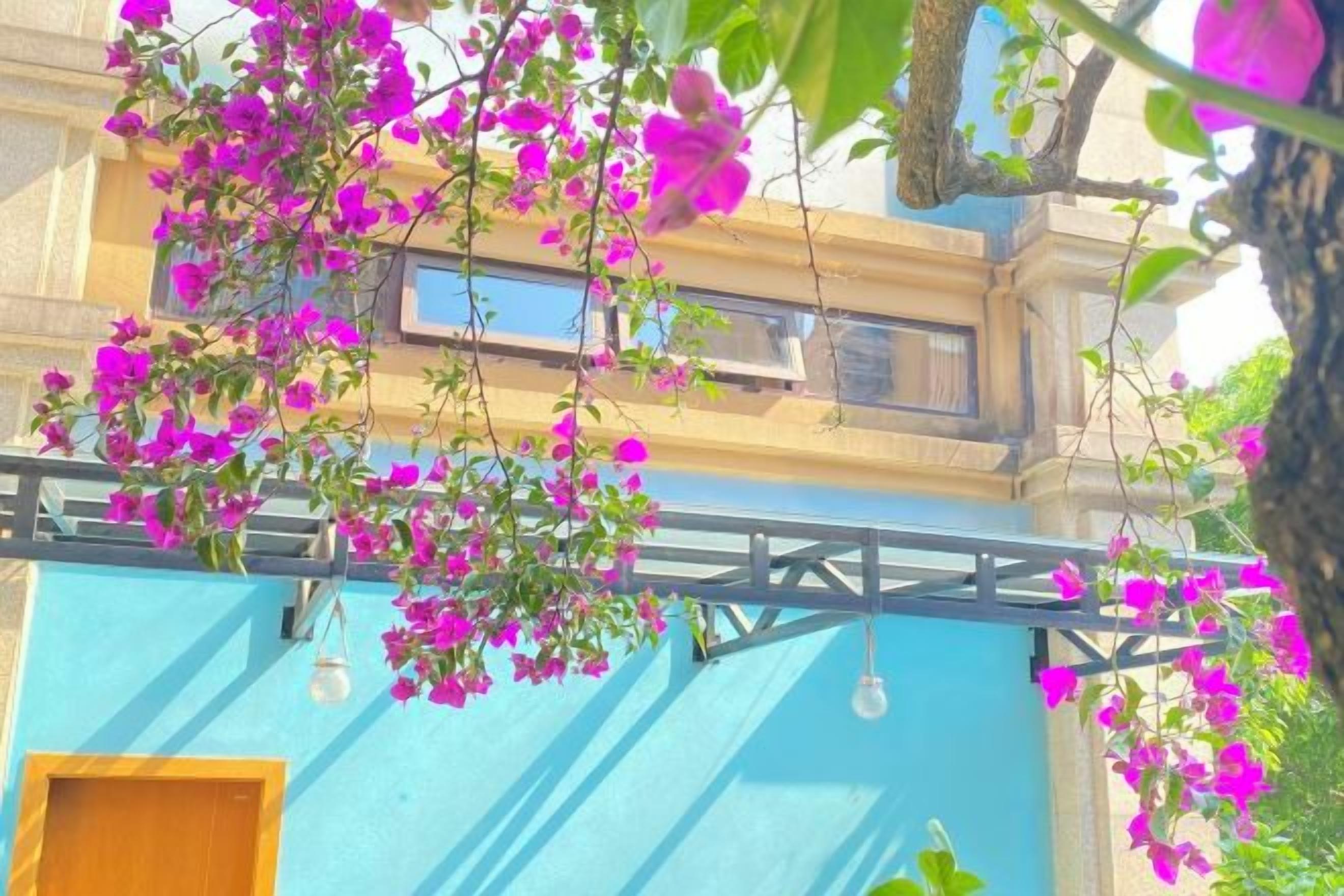 A building with a blue facade, a balcony with hanging lights, and pink flowers.