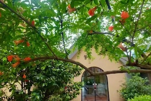 Garden - Xile'er Hotel (Emeishan City)