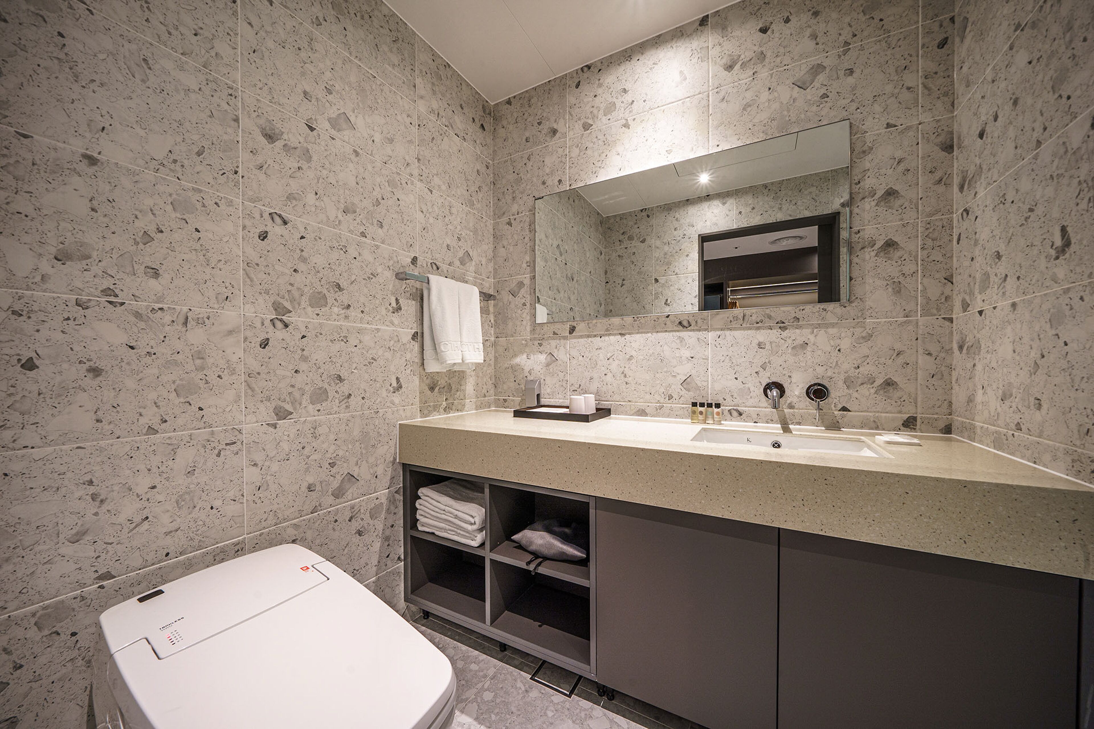 A modern bathroom with a large mirror, a sink, and a toilet.