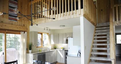 Mid Century Mountain Modern Cabin