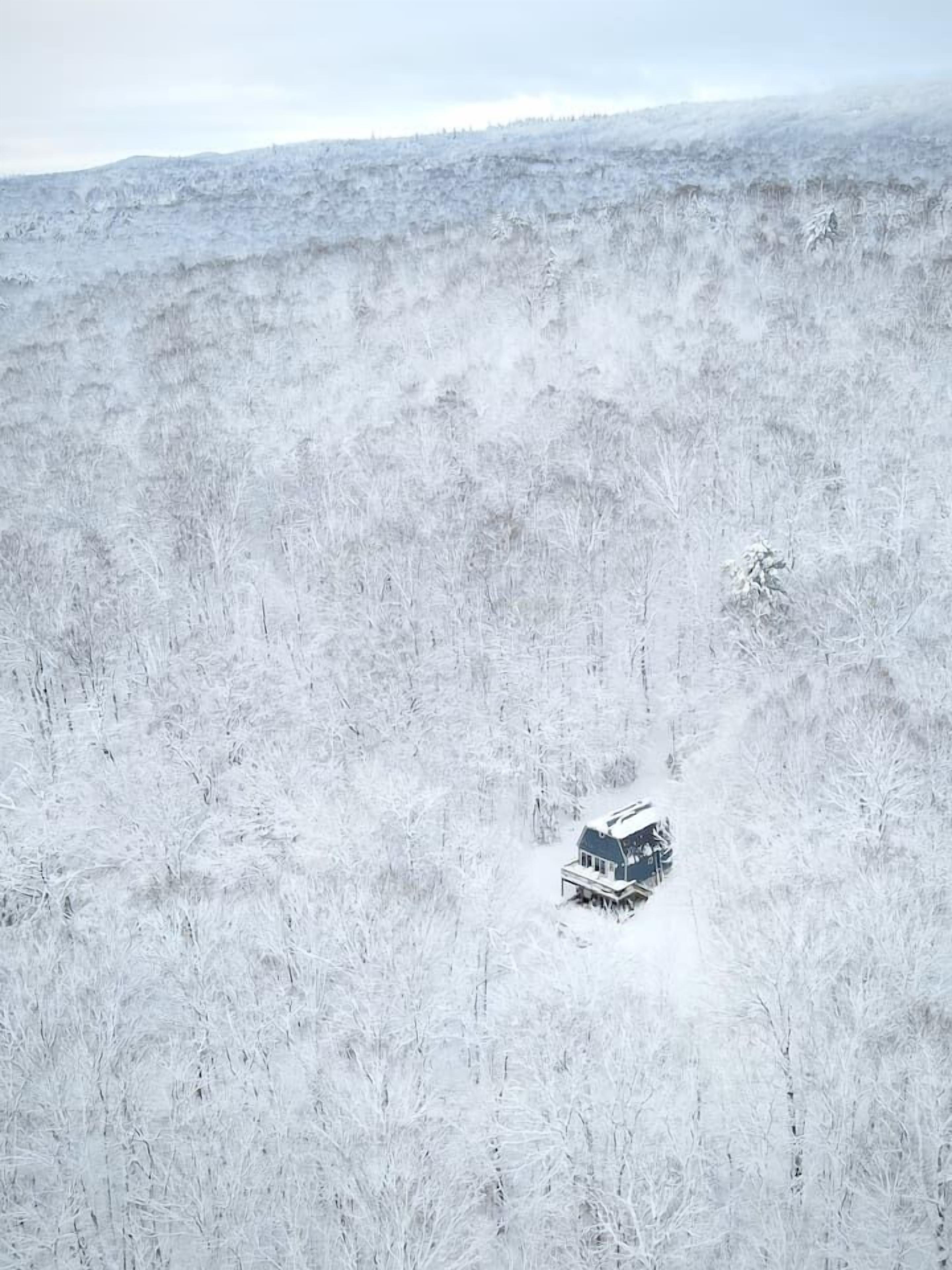 Una cabaña aislada en un bosque nevado.