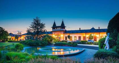 Studio in the garden city of Siófok