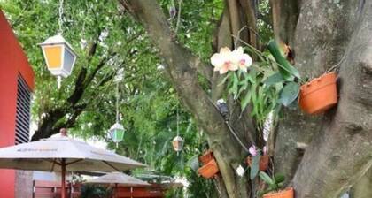 Casa 12, Home of La Vega's Carnival