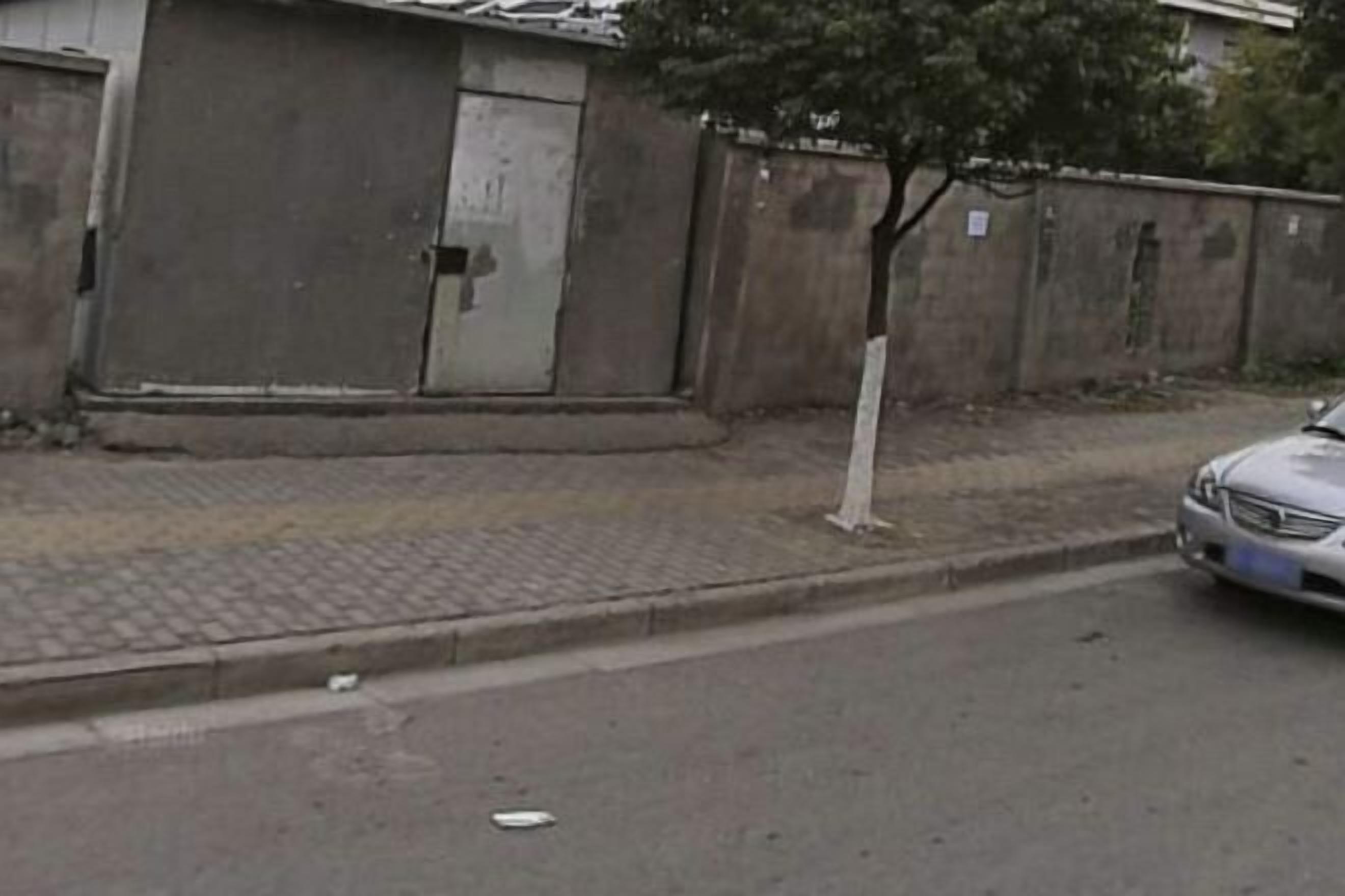 Une vue de rue avec une voiture garée, un arbre et un bâtiment dont la porte est fermée.
