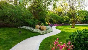 Un jardín ajardinado con un sendero curvo, arbustos diversos y plantas con flores.