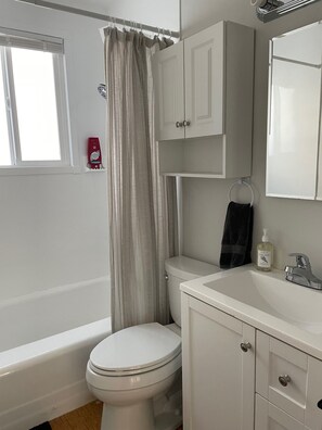 Combined shower/bathtub, hair dryer, towels, soap