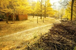 A dirt path leading through a wooded area with a small brick structure on the left.