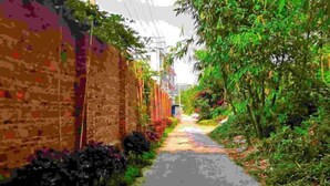 A narrow alleyway with brick walls on one side and dense greenery on the other. - Guilin Guzhen Inn (Dawei Guzhen Inn) (Lingchuan)