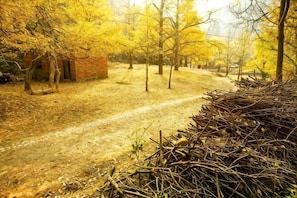 A dirt path leading through a wooded area with a small brick structure on the left.