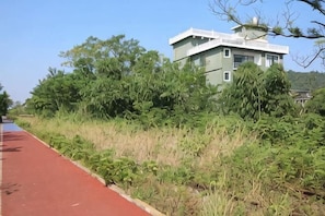 Ngoại thất