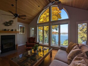 Smart TV, fireplace, DVD player, books