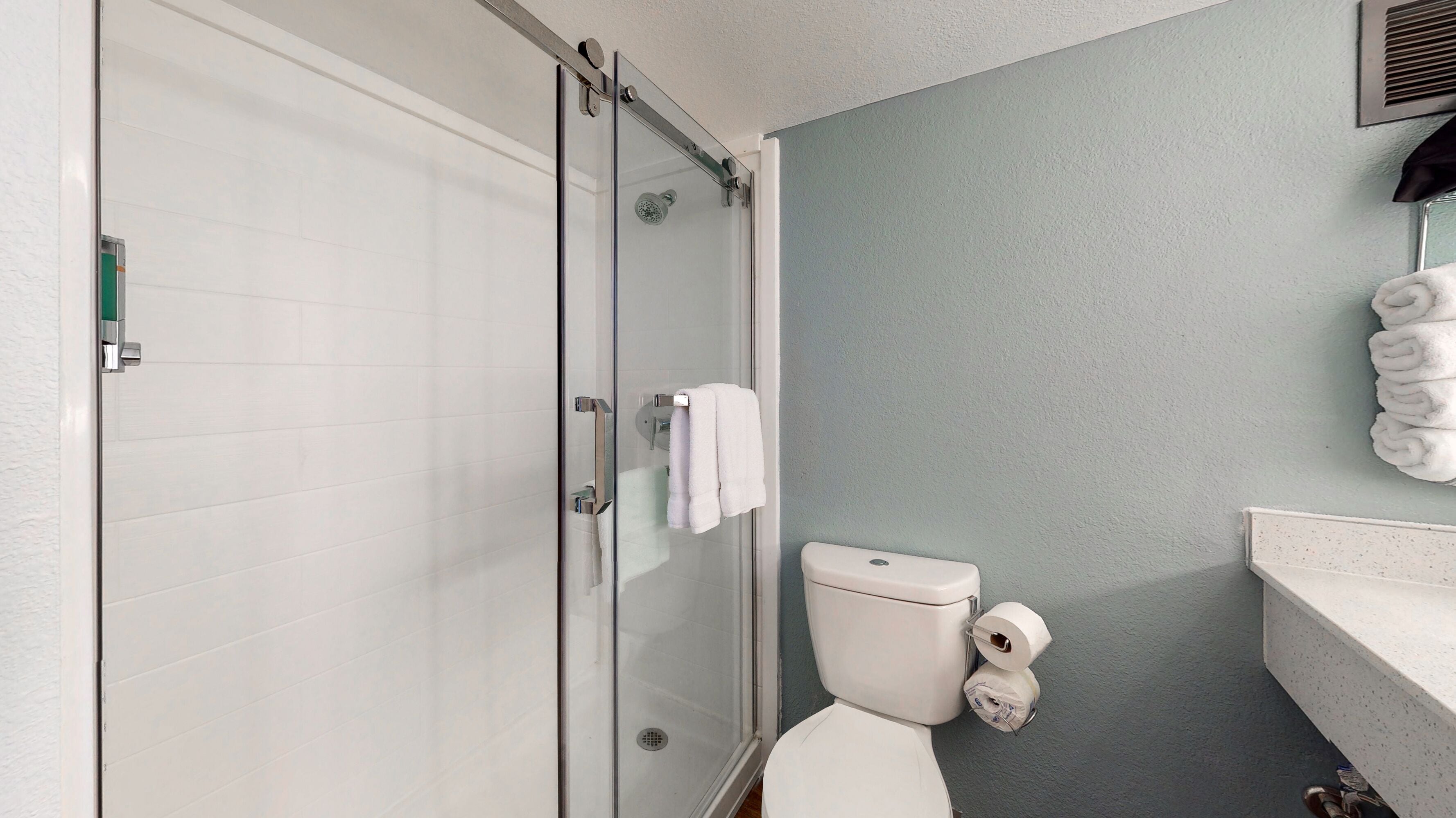 Premium Room | Bathroom shower