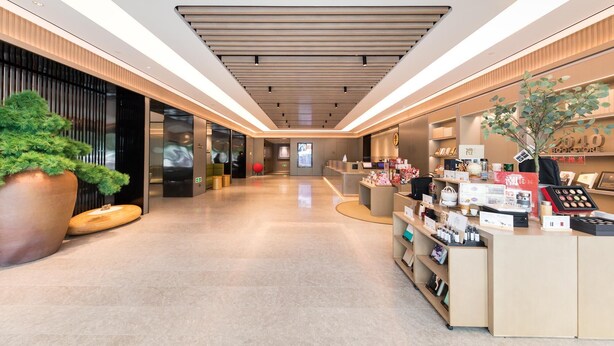 Un interior moderno con una recepción, una planta grande en maceta y una exhibición de productos.