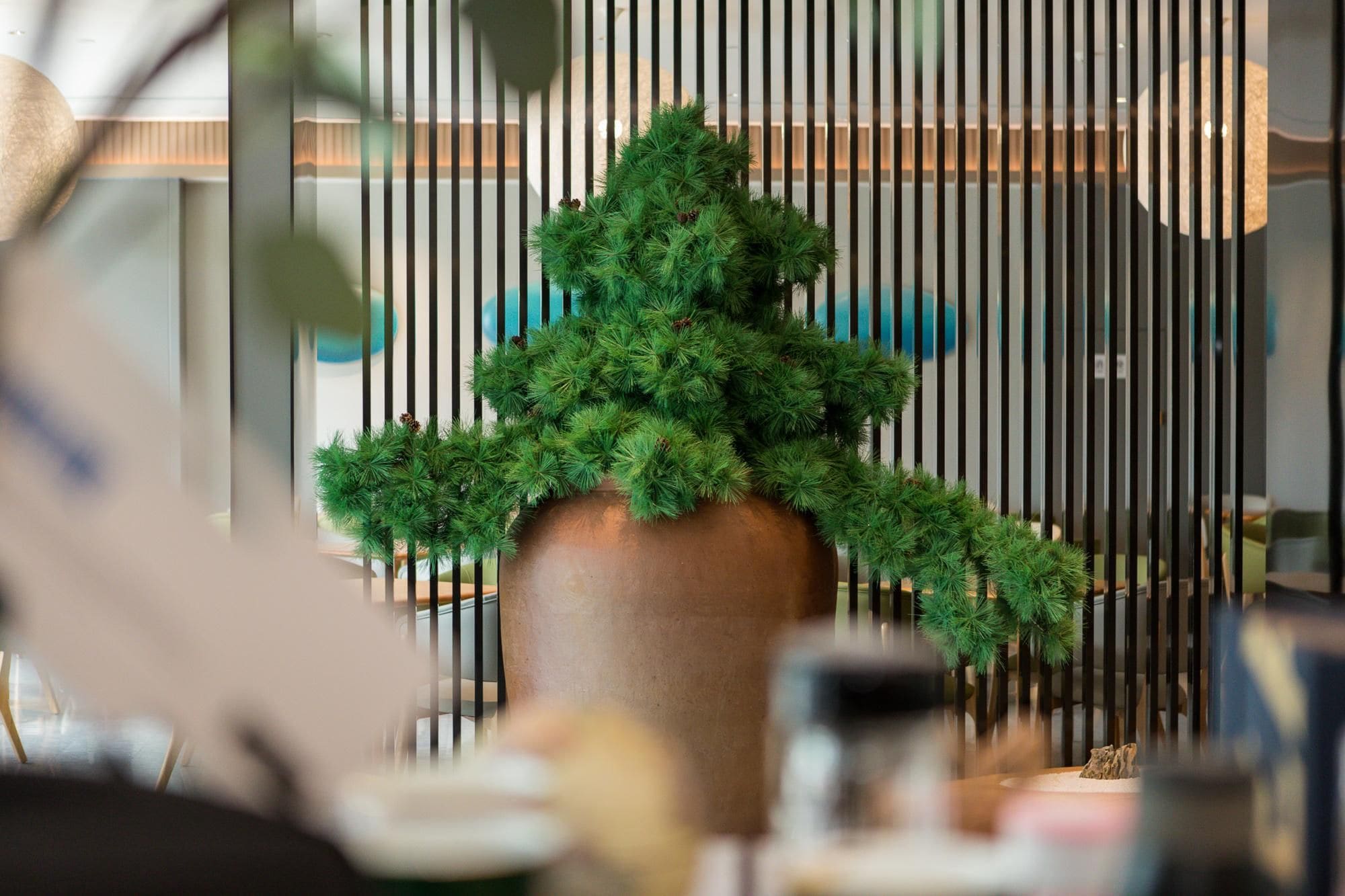 A potted plant in a modern indoor setting with vertical blinds.