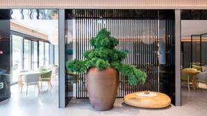 Un interior moderno con una planta grande en maceta, una mesa de madera y zonas de estar.