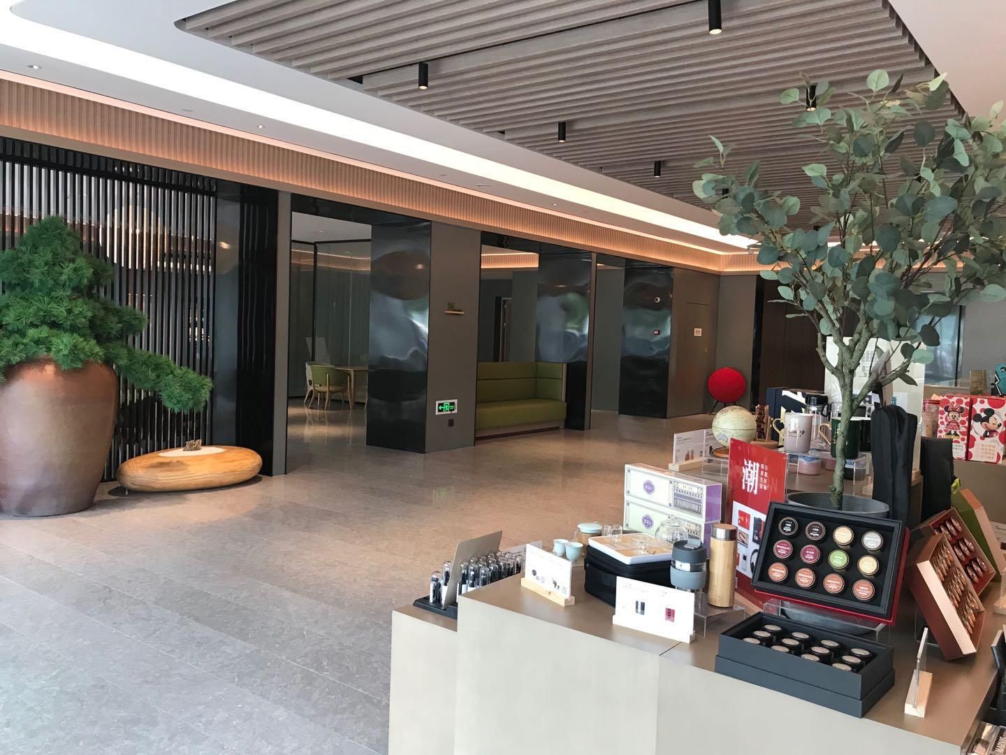 Un hall d’entrée moderne comprenant un comptoir d’accueil, un espace salon et une grande plante en pot.