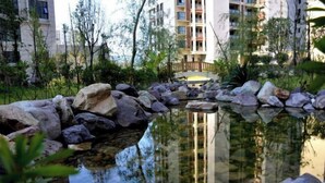 A serene pond surrounded by rocks and greenery, with a bridge in the background and modern buildings nearby. - Mellow Crystal Hotel (Zhangjiajie)